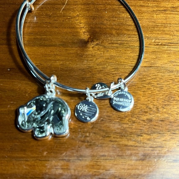 Alex and Ani Silver Elephant Charm Bracelet - Picture 2 of 3